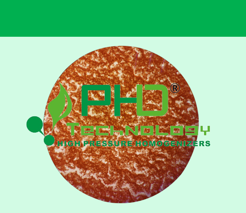 5-1 細胞破碎782X678.png