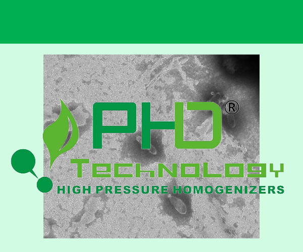 細(xì)胞破碎難易因素