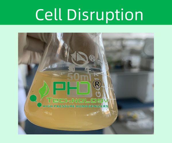 PhD高壓細胞破碎儀的特色介紹