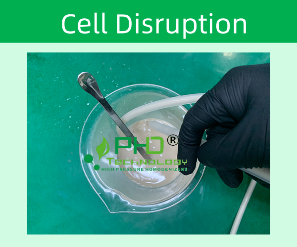 PhD高壓細胞破碎儀簡介