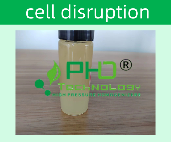 高壓細(xì)胞破碎儀的主要系統(tǒng)構(gòu)造