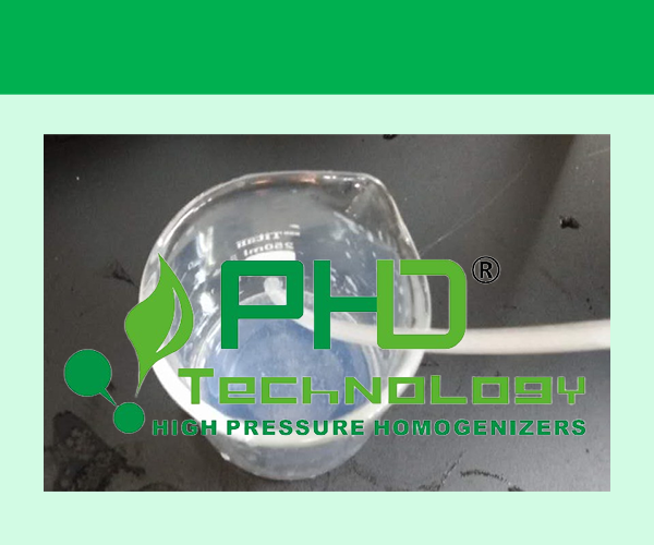 脂質(zhì)體藥物載體