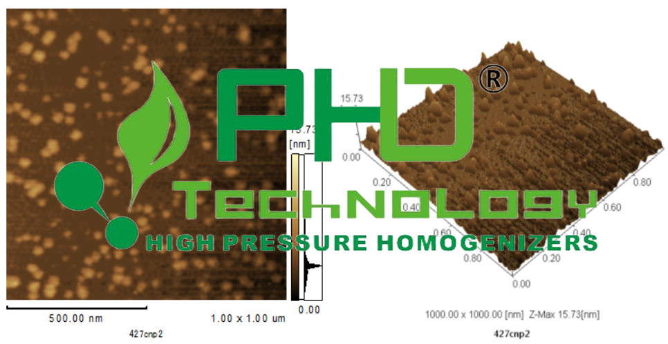 38022288.png 1-2.png