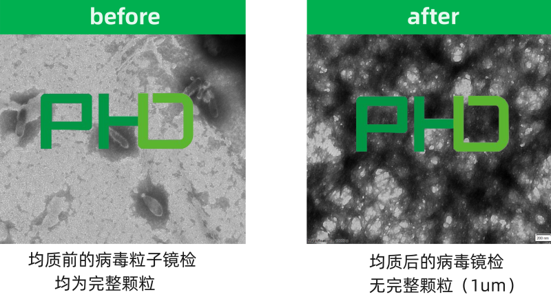 3、病毒均質(zhì)前后.png
