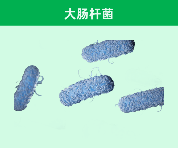 重組人粒細胞刺激因子（CHO細胞）