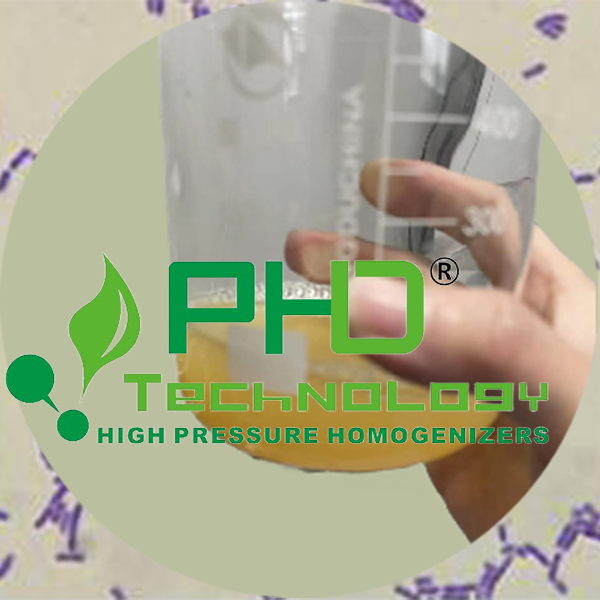 PhD高壓細(xì)胞破碎儀 | 乳酸菌破壁