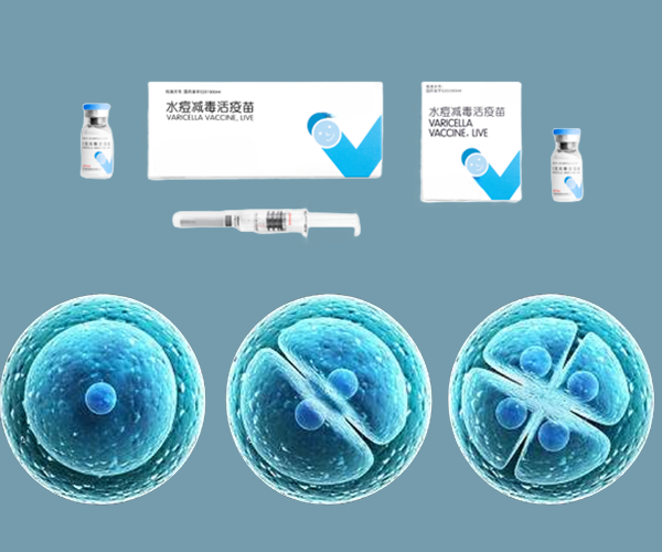 PhD細(xì)胞破壁機(jī) | 水痘減毒活疫苗