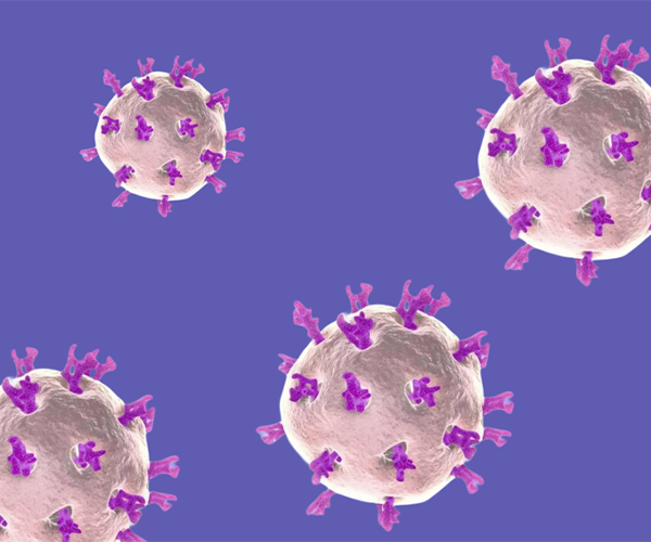 PhD高壓細(xì)胞破碎儀 | 輪狀病毒疫苗