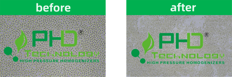 47395464.png 2 應(yīng)用案例.png