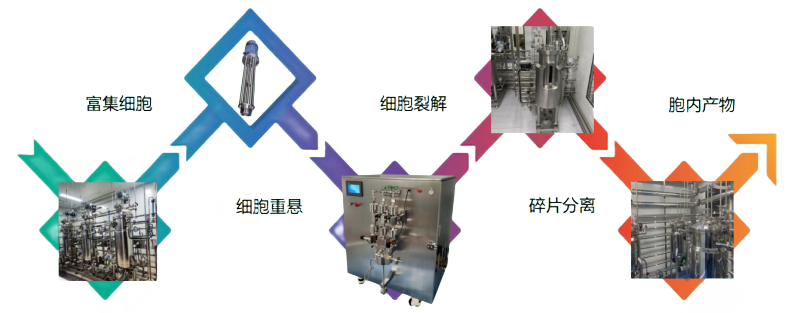 55646216.png 4、解決方案.png