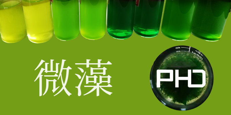 89231705.png 1 應(yīng)用背景.png